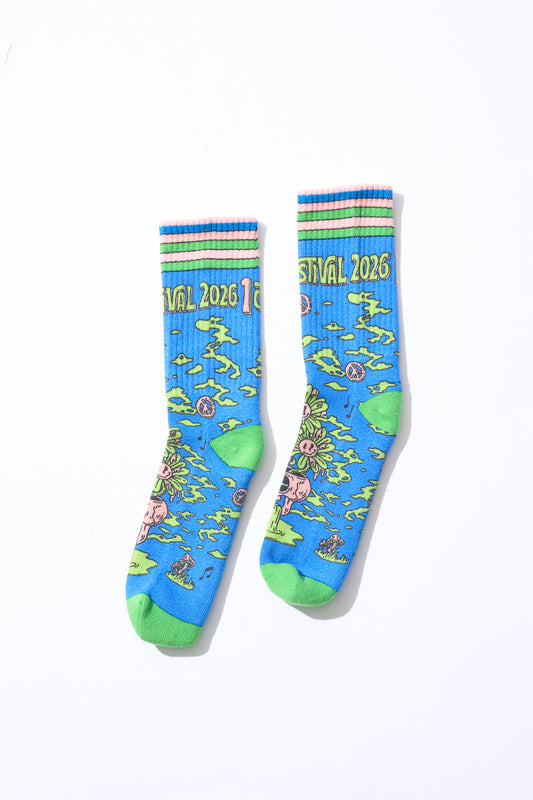 Socks [Blue × Green]