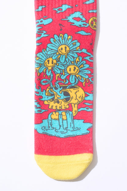 Socks [Pink x Yellow]