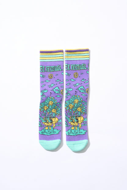 Socks [Purple x Turquoise]