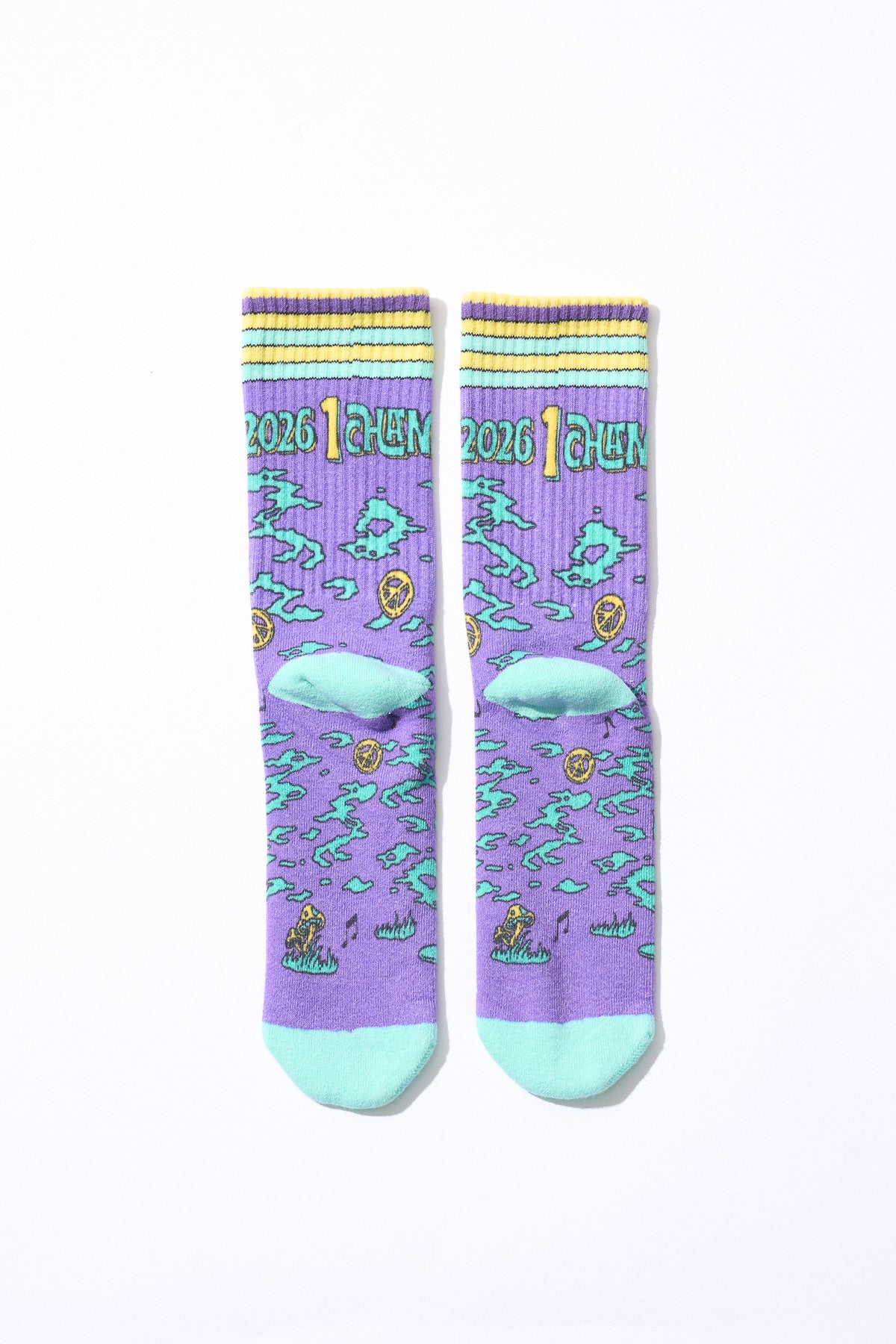 Socks [Purple x Turquoise]