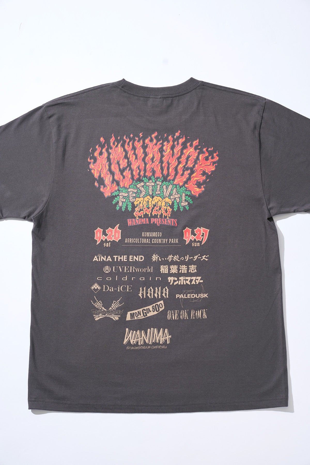 1CF26TEE [Sumi]